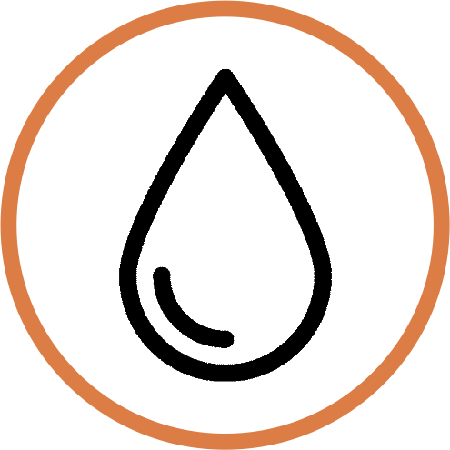 naranja1